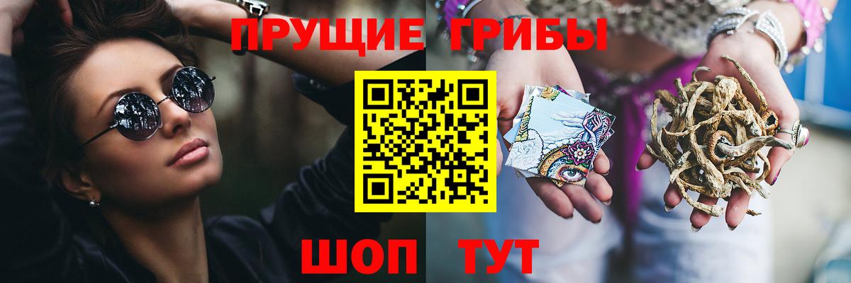Псилоцибиновые грибы Cubensis Тобольск